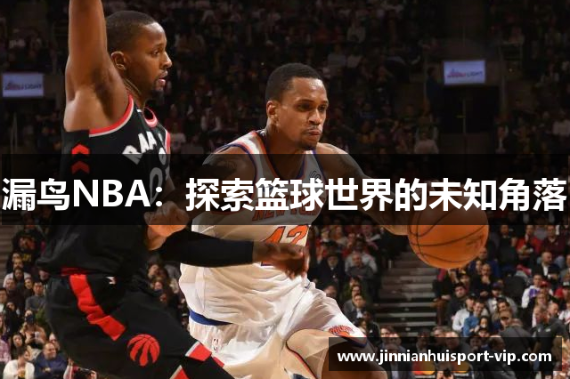 漏鸟NBA：探索篮球世界的未知角落